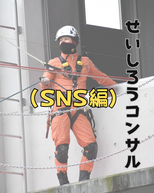 せいしろうコンサル（SNS編）６０分
